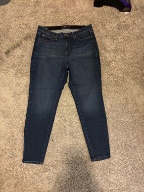 torrid Dark Indigo Skinny Jeans